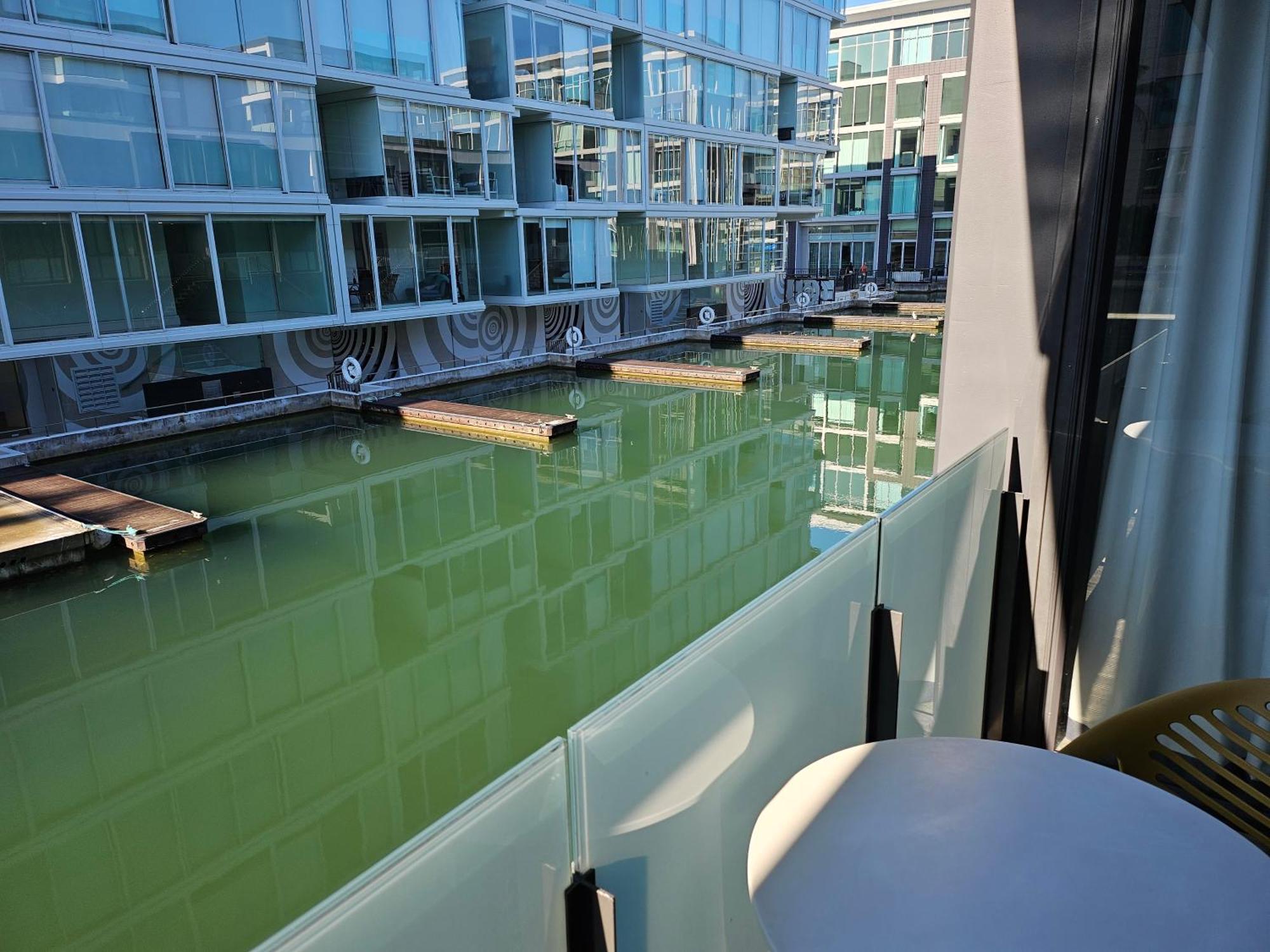 Pavilions Marina Apartment 102 - Wynyard Quarter Viaduct Harbour Auckland Zewnętrze zdjęcie